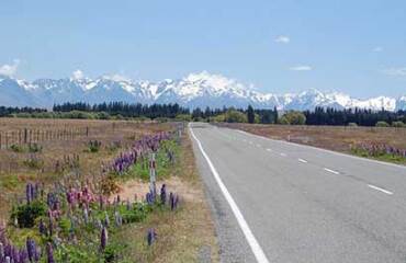 AAT Kings: Southern Spotlight 26/27 Image 5