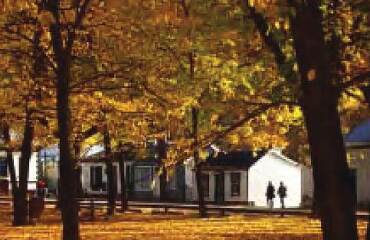 AAT Kings: Southern Spectacular 26/27 Image 4