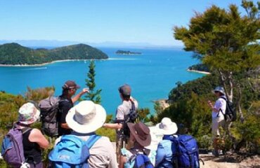 Southern Beach Explorer Image 4