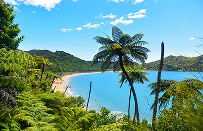 South Island Coastal Self Drive tour