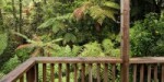 Punakaiki Treehouse