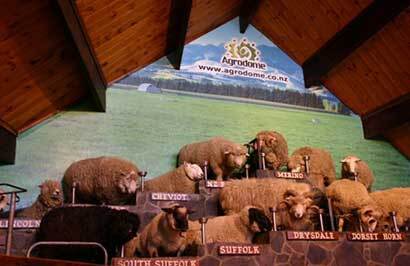 14 day Southern Bound