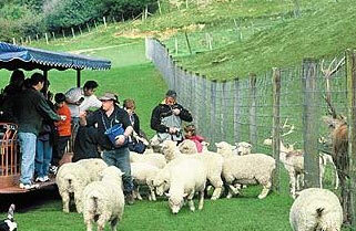 Middle Earth Escape Image 5