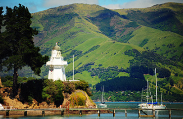 Southern Coast and Stewart Island Nature Tour Image 2