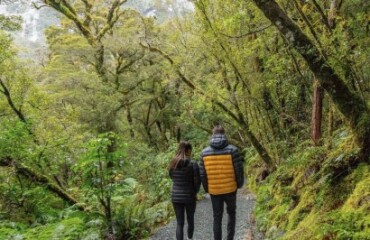 Fiordland Explorer Tour Image 4