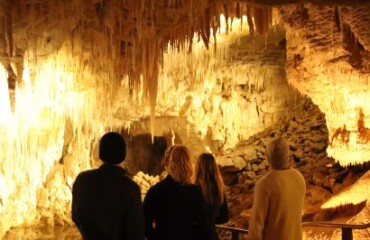 Auckland to Rotorua Journey via Waitomo and Hobbiton Image 5