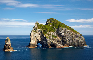 The Winterless North Image 5