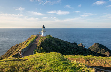 21 Day Ultimate North Island Tour Image 3