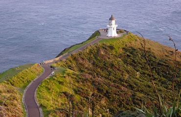 Ultimate Explorer Tour of New Zealand Image 2