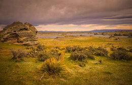 Click to view full image