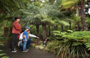 South Island Beach Escape Image 3