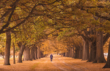 AAT Kings: Southern Spotlight 26/27 Image 2