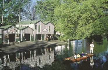 AAT Kings: New Zealand's Southern Drift - Small Group Tour Image 4