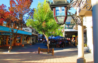 Grand Pacific 11 Day Ultimate South Island Christmas Image 5