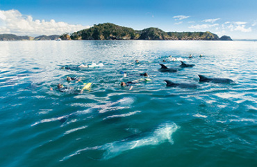 Bay of Islands Short Break Image 2