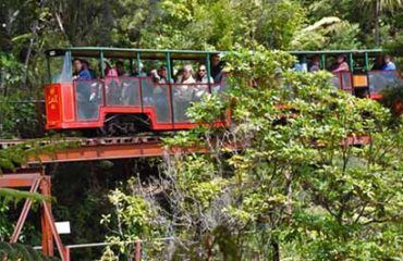 21 Day Ultimate North Island Tour Image 4