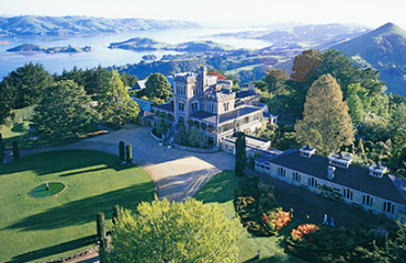 Southern Coast and Stewart Island Nature Tour Image 4