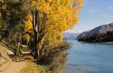 South Island Luxury Adventure Image 4