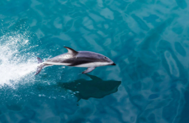 Southern National Parks Image 4