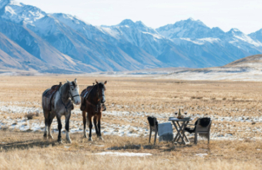 Exclusive South Island Retreat Image 2