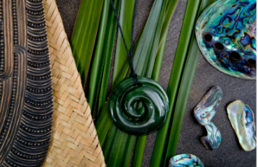 Aotearoa Explorer Image 2