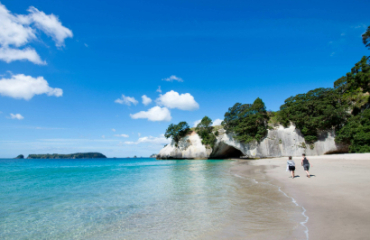 North Island Discovery Tour Image 2