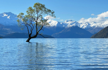 Lakes, Mountains and Glaciers Tour Image 4