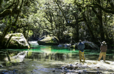 South Island Farm and Rural Escape Image 5