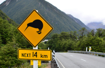 South Island Wilderness Encounter Image 4