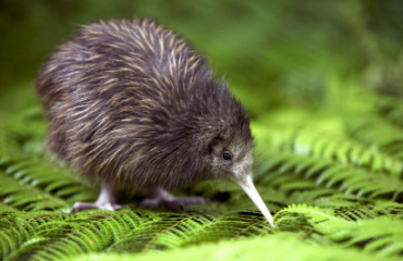 Seas to Summits Tour Image 2