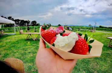 Luxury New Zealand Food Tour Image 2