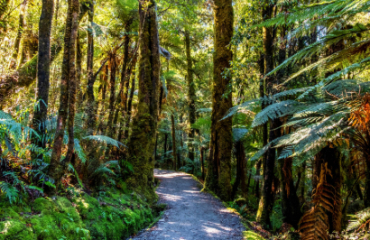 Epic South Island Hiking Adventure Image 5