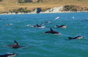 Southern Natural Wonders Tour Image 5