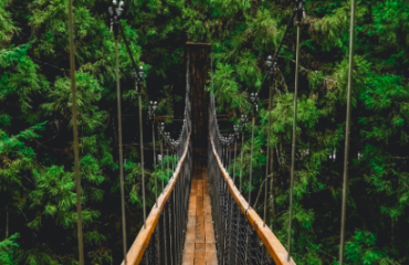 Northern Highlights Tour Image 3