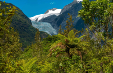 Southern Highlights and Routeburn Great Walk Image 5