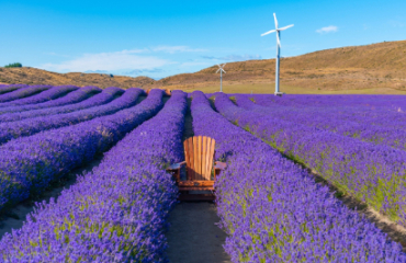 Southern National Parks Image 2