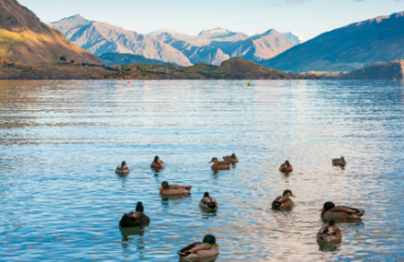 Lakes, Mountains and Glaciers Tour Image 3