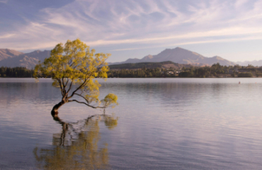 Southern Highlights with Milford Sound Image 5