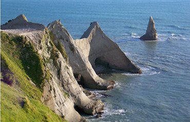 7 Day North Island Explorer Image 5