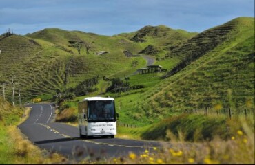 Grand Pacific 14 Day Signature Panorama Image 3