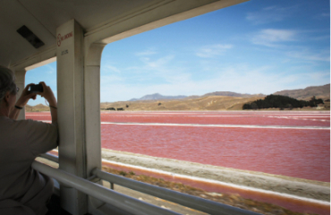 Great Journeys of New Zealand - Signature Flavours of Aotearoa New Zealand Tour Image 2