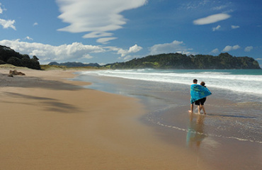 The Essence of New Zealand Image 3