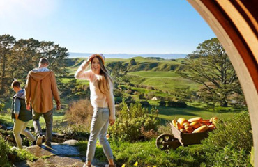 Northland to Rotorua Discovery Image 5