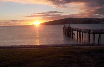 The Winterless North Image 3