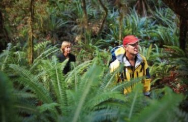 Enchanting South Island Image 5