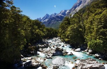 The Hollyford Wilderness Experience Image 2