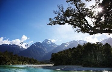 The Hollyford Wilderness Experience Image 3