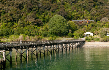 West Coast Getaway with TranzAlpine Image 3