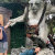 click to see full image