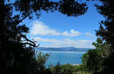 Minecraft: North Island Wonderland Image 5